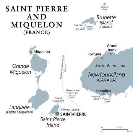 Saint Pierre and Miquelon, gray political map. Archipelago and self-governing territorial overseas collectivity of France in the North Atlantic Ocean.のイラスト素材