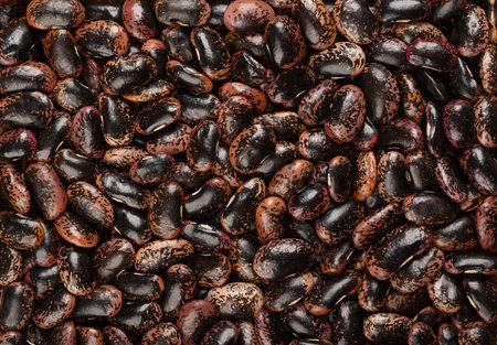 Scarlet Runner beans, from above. Dried and raw runner beans, seeds of Phaseolus coccineus, also...