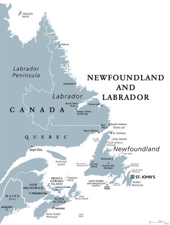 Newfoundland and Labrador, gray political map. Province of Canada, in the Atlantic region. With capital St. Johns, Newfoundland island and continental region of Labrador.のイラスト素材