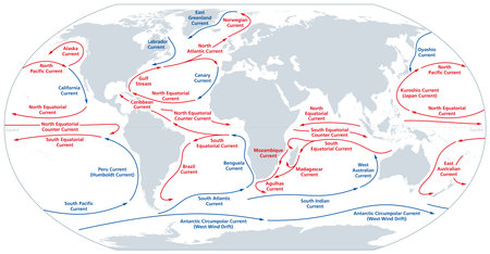 World map of major ocean currents. Continuous, directed movement of seawater generated by forces acting upon the water, like wind, temperature, etc. Warm currents red, cold in blueのイラスト素材