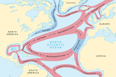 Map of North Atlantic Ocean currents, with Gulf Stream and other major ocean currents. Red color for warm and blue color for cold currents.のイラスト素材