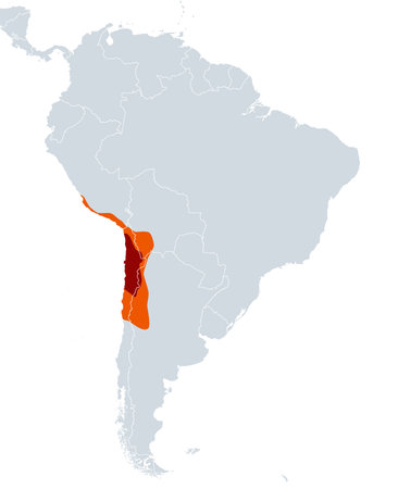 Atacama Desert, political map. Hyperarid desert plateau, located on Pacific coast of South America, north of Chile, highlighted in red. Arid barren lower slopes of Andes in orange.のイラスト素材