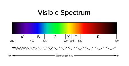 Diagram of the visible spectrum, band of electromagnetic spectrum, visible to the human eye. Light can produce spectral colors, a narrow band of wavelengths.のイラスト素材
