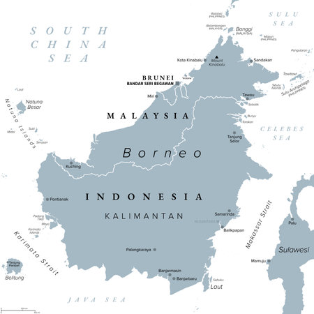 Borneo, divided among Malaysia, Brunei and Indonesia, gray political map. Third-largest island in the world, and one of the Greater Sunda Islands.のイラスト素材