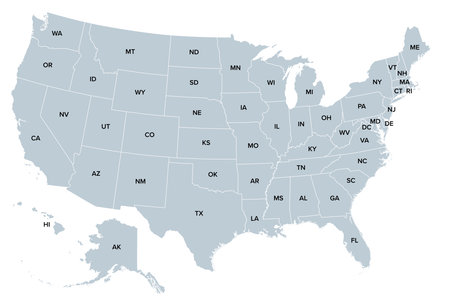The United States of America, gray political map. Map with the silhouettes of fifty states and postal abbreviations, and with the federal District of Columbia.のイラスト素材