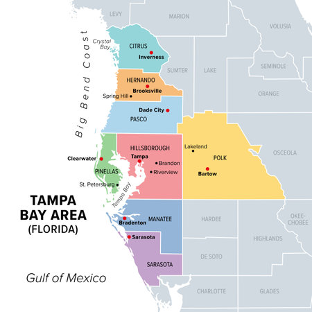 Tampa Bay area, Florida, United States, multi colored political map. Major metropolitan area surrounding Tampa Bay on the Gulf Coast of Florida.のイラスト素材