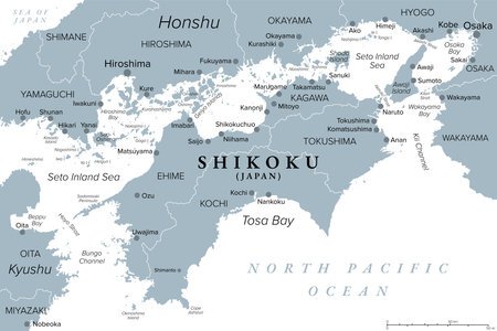 Shikoku island and region in Japan with four prefectures, gray political map. Region and smallest of main islands of Japan, northeast of Kyushu, and south of Honshu.のイラスト素材