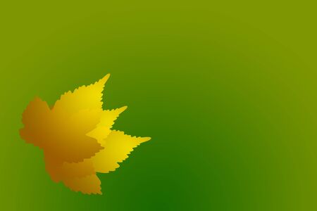 abstract autumn leafs an orange and yellow with green background and copy spaceの写真素材