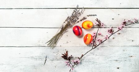 colored easter egg on wood background with copy space