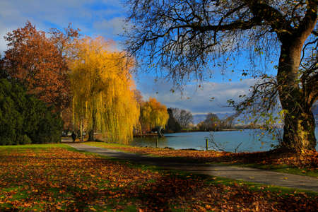 Beautiful autumn landscape with colorful trees around the pond and bench in a city parkの写真素材