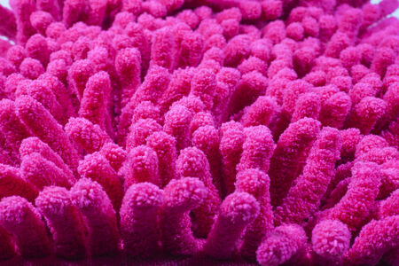 Haircloth Texture backgroundの写真素材
