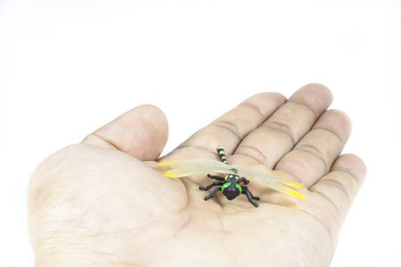 Fake dragonfly on white background.の写真素材