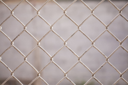 Wire Mesh Fence Close-Upの写真素材