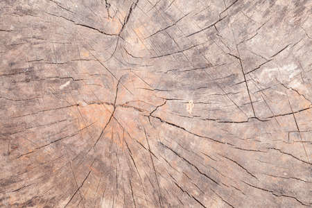 Old wooden wall.の写真素材