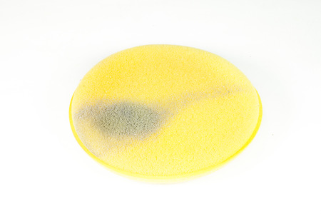 Sponge paint Yellow on a white background