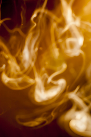 Golden smoke on black background