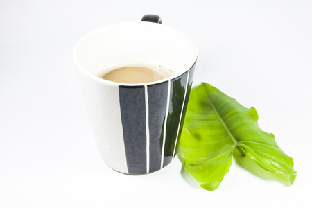 Coffee cup and green leaves on a white background.の写真素材