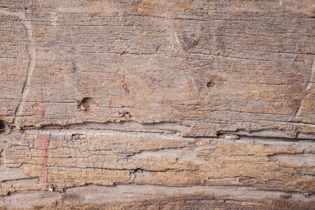 old wood background texture.の写真素材
