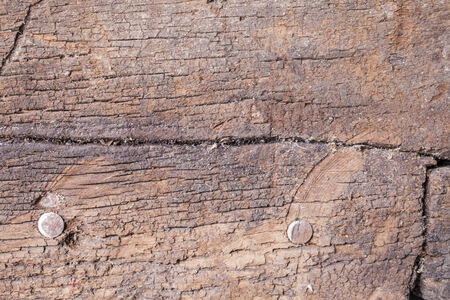 old wood background texture.の写真素材