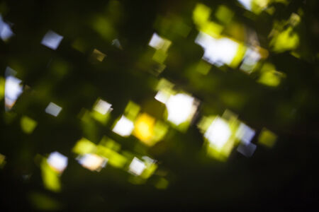 Bokeh natural green blurred background.の写真素材