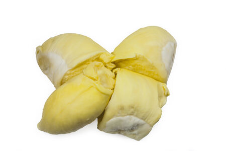Durian,King of fruits on white backgroundの写真素材