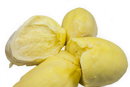 Durian,King of fruits on white backgroundの写真素材