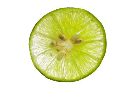 Fresh limes on a white background.の写真素材
