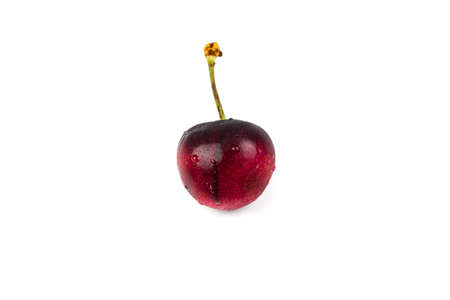 Cherry white background.の写真素材