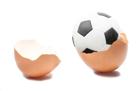Eggs shell on white backgroundの写真素材