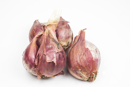 Shallots on white background