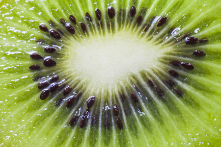 Juicy kiwi fruit  on white backgroundの写真素材