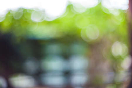 Bokeh natural green blurred background.の写真素材