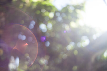 Natural green blurred bokeh .の写真素材