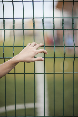 Hand girl in iron meshの写真素材
