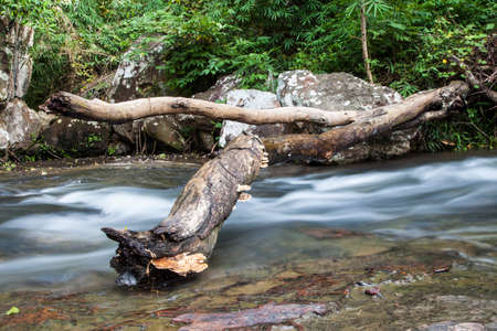 Beautiful Thailand waterfall in deep forest.の写真素材