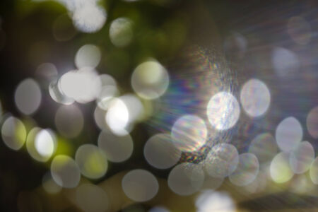 Bokeh natural green blurred background.