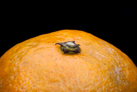 ass shaped orangeの写真素材