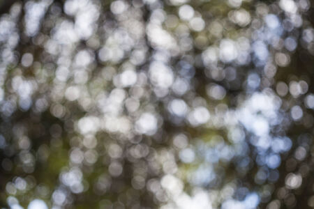 Yellow, green,white bokeh backgroundの写真素材