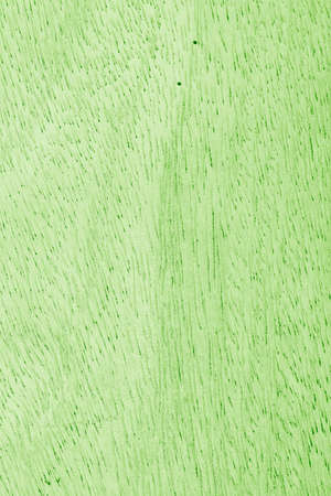 Wood texture backgroundの写真素材