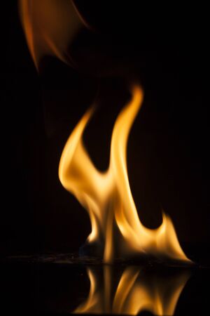 Fire flames on black background.の写真素材