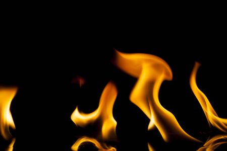 Fire flames on black background.の写真素材