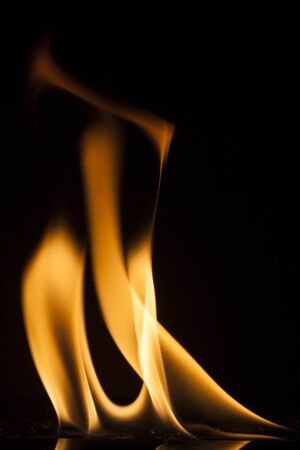 Fire flames on black background.の写真素材