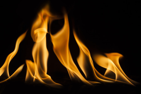 Fire flames on black background.の写真素材