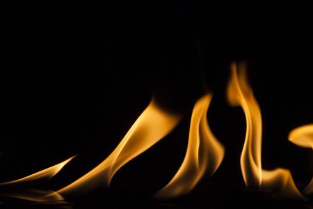 Fire flames on black background.の写真素材