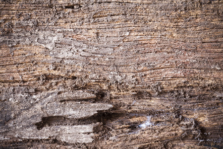 old wood background.
