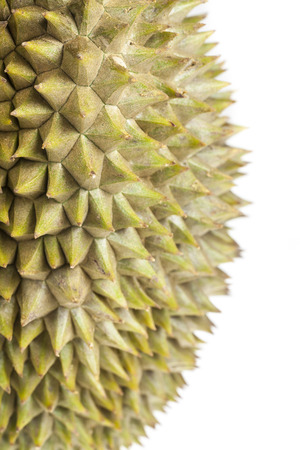 King of fruits, Durian fruit in Thailand on white background.の写真素材