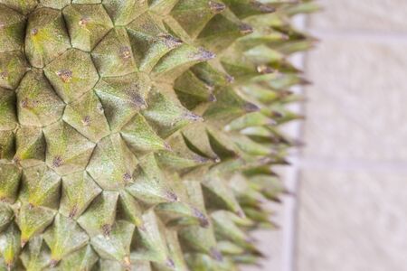 Durian closeup thorn spiky background.
