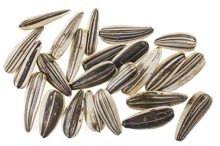 Sunflower seeds background.の写真素材