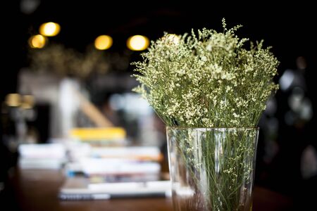 Beautiful spring flowers in a glass background bokeh.の写真素材