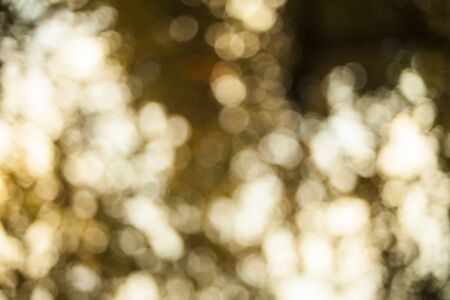 Bokeh natural blurred.の写真素材